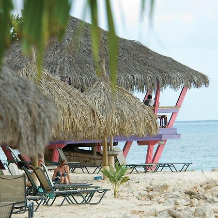 Divi Dutch Village Beach Resort Παλμ Μπιτς Εξωτερικό φωτογραφία