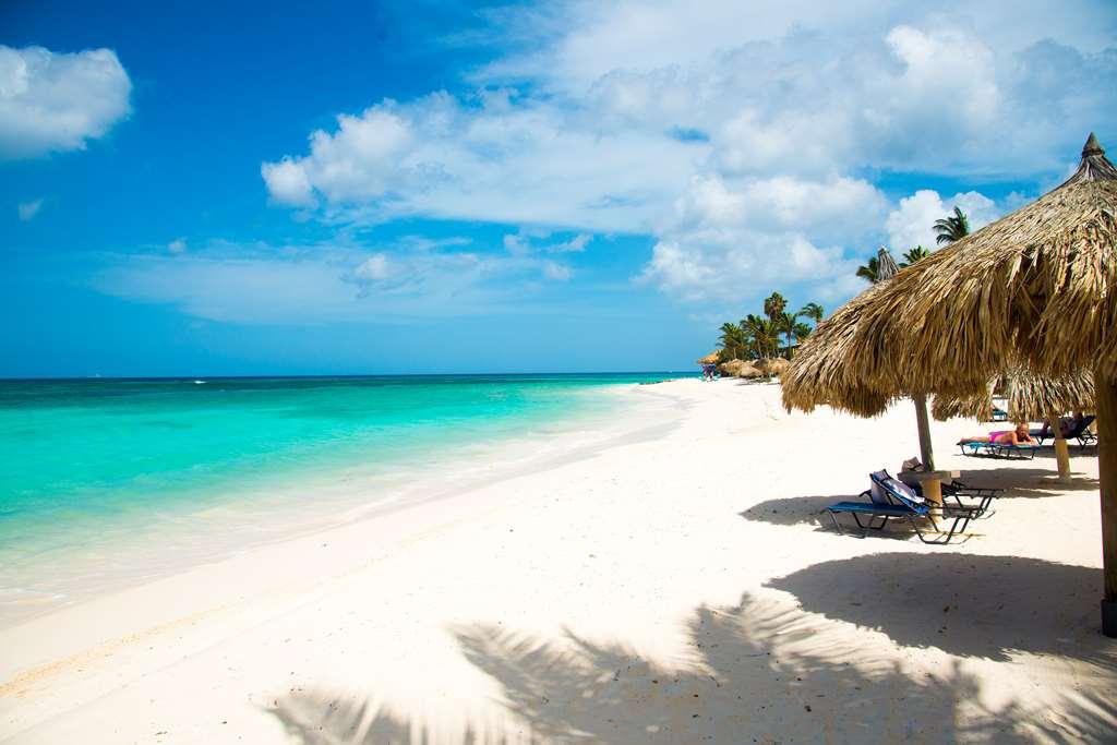 Divi Dutch Village Beach Resort Παλμ Μπιτς Φύση φωτογραφία