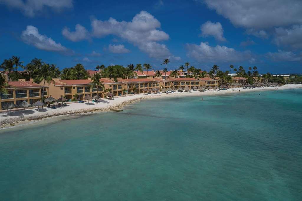Divi Dutch Village Beach Resort Παλμ Μπιτς Φύση φωτογραφία