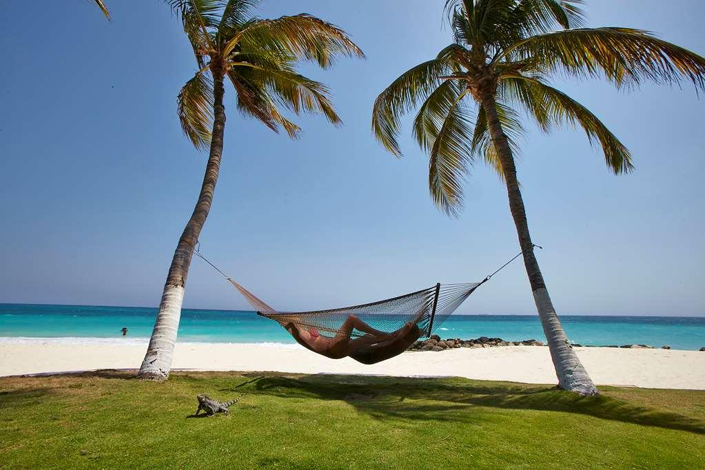 Divi Dutch Village Beach Resort Παλμ Μπιτς Φύση φωτογραφία